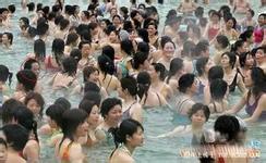 login toto 88 togel ratu188j Rapid growth of fish in hot springs!?